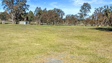 Property 91 Yarck Village Place, Yarck VIC 3719 IMAGE 0