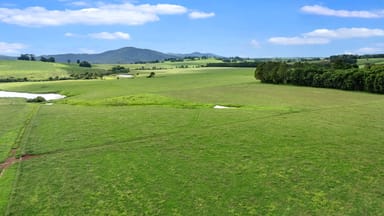 Property 64 Darley And Bains Road, DORRIGO NSW 2453 IMAGE 0