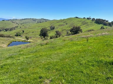 Property CA 6 of 858 Sirls Road, JARVIS CREEK VIC 3700 IMAGE 0