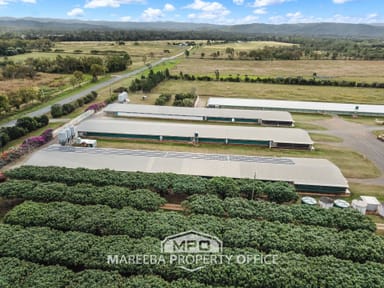 Property 1004 Bilwon Road, BIBOOHRA QLD 4880 IMAGE 0