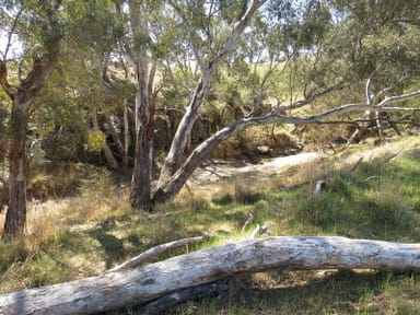 Property 524 Heathcote-Redesdale Road, HEATHCOTE VIC 3523 IMAGE 0