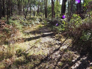 Property Lot 3 Brewsters Road, Yinnar South VIC 3869 IMAGE 0