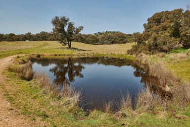 Property 204 Hayes Gully Road, Tooborac VIC 3522 IMAGE 0