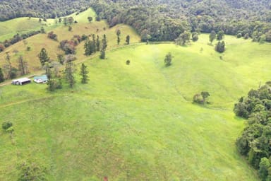 Property 659 Middlebrook Road, Millaa Millaa QLD 4886 IMAGE 0