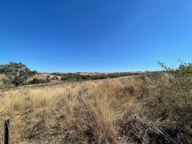 Property Lot 317 & Lot 318 Larmer Street, Jugiong NSW 2726 IMAGE 0