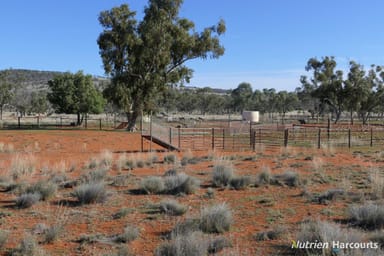 Property * Iona, COBAR NSW 2835 IMAGE 0