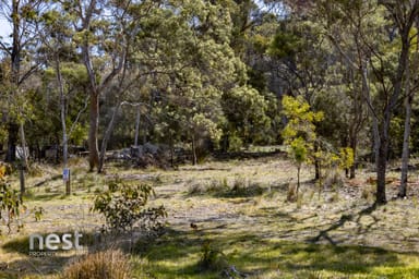 Property 2 Old Convict Road, ORFORD TAS 7190 IMAGE 0