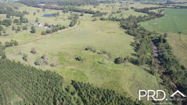 Property 324 Pines Road, Edenville NSW 2474 IMAGE 0