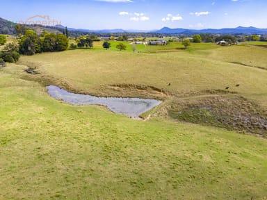 Property LOT11, 938 Wilson  Road, Congarinni North NSW 2447 IMAGE 0