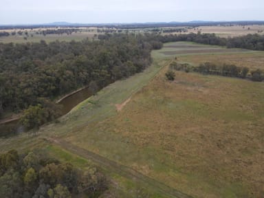 Property 303 North Condobolin Road, WARROO NSW 2871 IMAGE 0