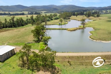 Property 560 Jacksons Track, Jindivick VIC 3818 IMAGE 0