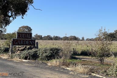 Property 47 Rodda Drive, Cudal NSW 2864 IMAGE 0