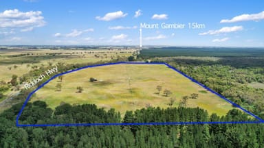 Property Lot 459 Riddoch Highway, Dismal Swamp SA 5290 IMAGE 0