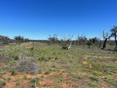 Property Borehead Road Borehead, Lightning Ridge NSW 2834 IMAGE 0