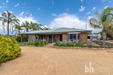 Property 59 Hunt Road, BARMERA SA 5345 IMAGE 0