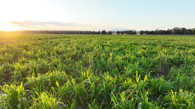 Property 214 Drillham South Road, Drillham QLD 4424 IMAGE 0