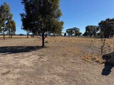 Property CA8B Boort Kurting Road, Kurting VIC 3517 IMAGE 0