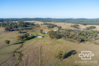 Property 3889 Nullamanna Road, WELLINGROVE NSW 2370 IMAGE 0