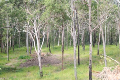 Property 82, 395 Bruxner Road, Drake NSW 2469 IMAGE 0