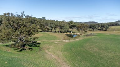 Property 1210 Macintyre Road, Barraba NSW 2347 IMAGE 0