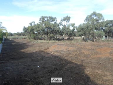 Property 42 Nixon Street, Euston NSW 2737 IMAGE 0