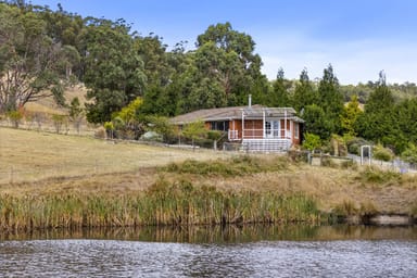 Property 1557 Nicholls Rivulet Road, Nicholls Rivulet TAS 7112 IMAGE 0