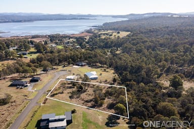 Property 8 Aquila Place, Swan Bay TAS 7252 IMAGE 0