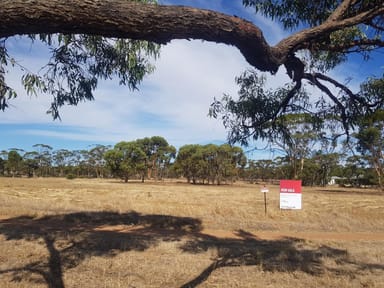 Property 48, 65 Drummond Street, Moora WA 6510 IMAGE 0