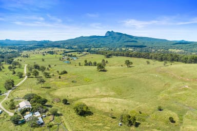 Property Lot 9, 427 BACK CREEK ROAD, BACK CREEK NSW 2484 IMAGE 0