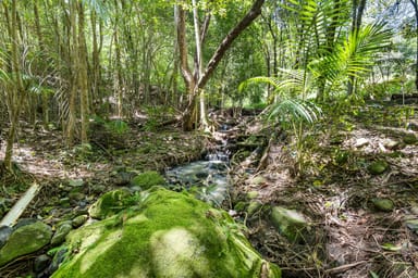 Property 16 Glenkeith Place, Eudlo QLD 4554 IMAGE 0