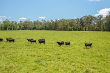 Property Lot 2 Upper Smiths Creek Road, KUNDABUNG NSW 2441 IMAGE 0