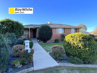 Property 107 William Street, Gundagai NSW 2722 IMAGE 0