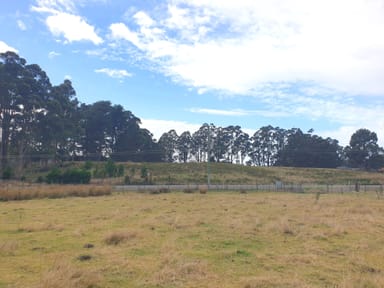 Property Lot 2 Cemetery Road, GEEVESTON TAS 7116 IMAGE 0