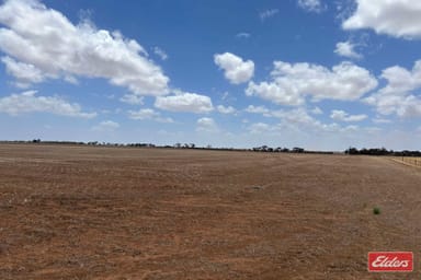 Property Lot 443 Richter Road, Reeves Plains SA 5502 IMAGE 0