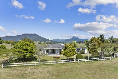 Property 182 Commercial Road, MURWILLUMBAH NSW 2484 IMAGE 0