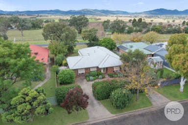Property 95 Nowland Avenue, Quirindi NSW 2343 IMAGE 0