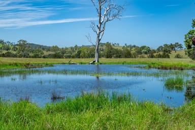 Property 3128 Manumbar Road, Elgin Vale QLD 4615 IMAGE 0