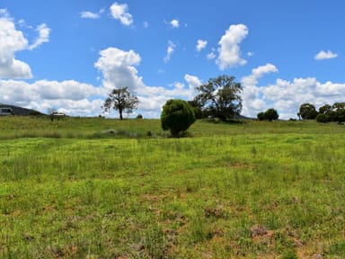 Property Lot 51 -52 Salter Street, BINGARA NSW 2404 IMAGE 0