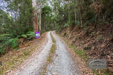 Property Lot Ringle Doddy Road, SOUTH FOREST TAS 7330 IMAGE 0