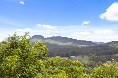 Property 81 Seib Road, Eumundi QLD 4562 IMAGE 0