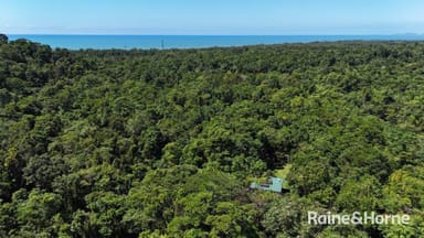 Property 32 Nicole Drive, Cape Tribulation, DAINTREE QLD 4873 IMAGE 0