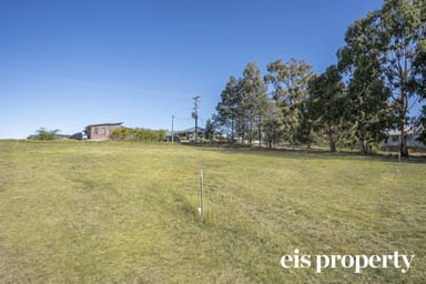 Property 5, 24 Silver Hill Road, CYGNET TAS 7112 IMAGE 0