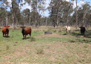 Property Lot D Mundubbera Durong Road, BROVINIA QLD 4626 IMAGE 0