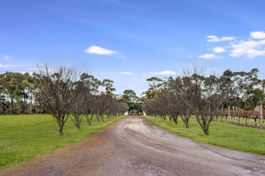 Property 467 Twenty Four Road, Karridale WA 6288 IMAGE 0