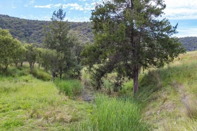 Property 713 Giants Creek Road, Giants Creek NSW 2328 IMAGE 0