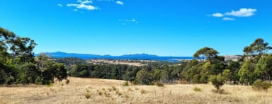 Property 2, 10923 Tasman Highway, Little Swanport TAS 7190 IMAGE 0