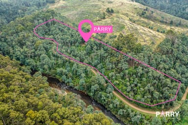 Property 155 Mutual Road, DERBY TAS 7264 IMAGE 0