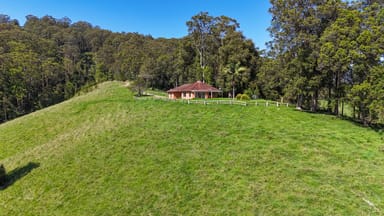 Property 329 South Island Loop Road, UPPER ORARA NSW 2450 IMAGE 0