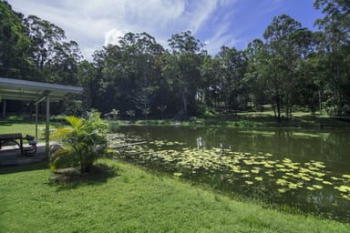 Property 3277 Beechmont Rd, WITHEREN QLD 4275 IMAGE 0