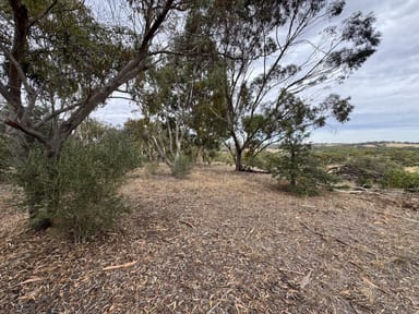 Property Lot 2 McRae Wood Road, STANLEY FLAT SA 5453 IMAGE 0